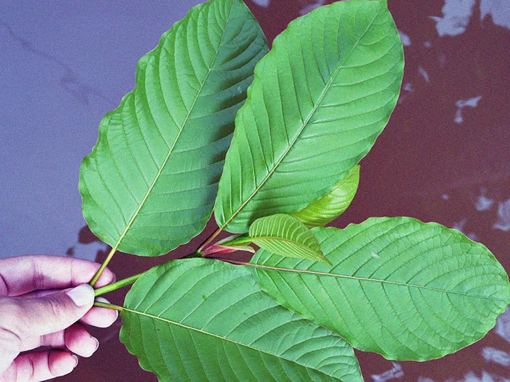 Kratom