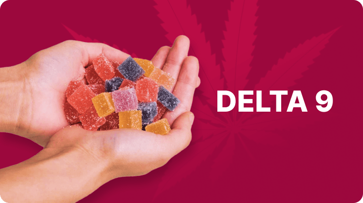 best delta 9 gummies online
