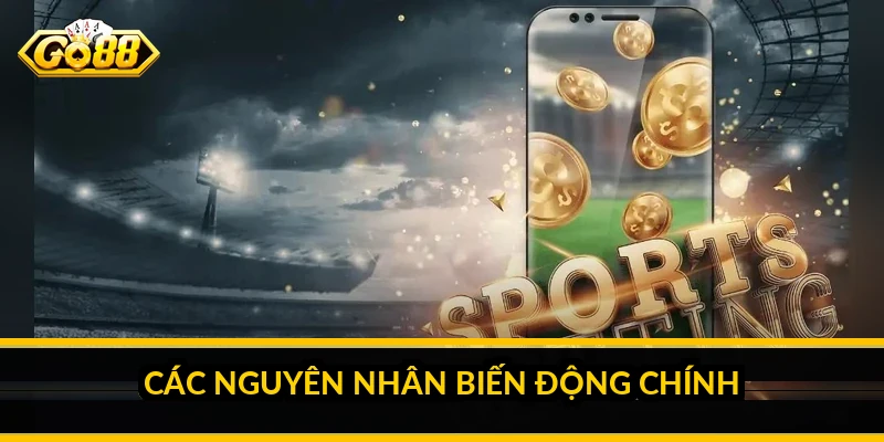 Các nguyên nhân biến động chính